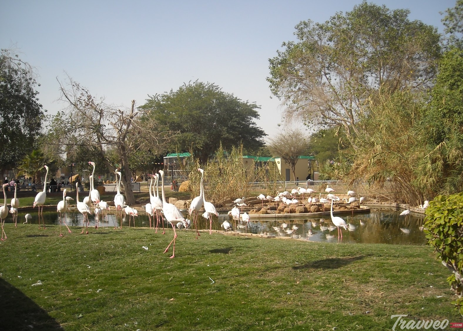 دليلك لحدائق الرياض