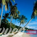 تكلفة السياحة في باربادوس