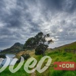 رحلة سياحية الى نيوزيلندا