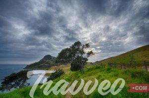 رحلة سياحية الى نيوزيلندا
