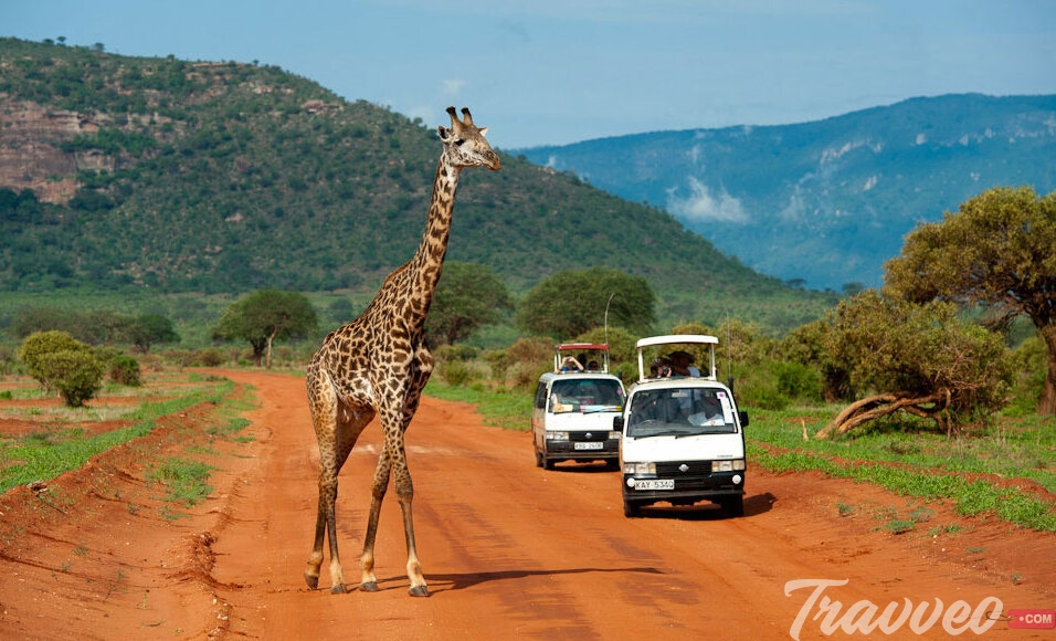 السياحة فى كينيا