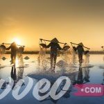 تكلفة السياحة في فيتنام