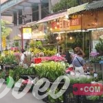 سوق الزهور