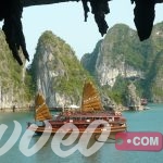 تكلفة السياحة في فيتنام