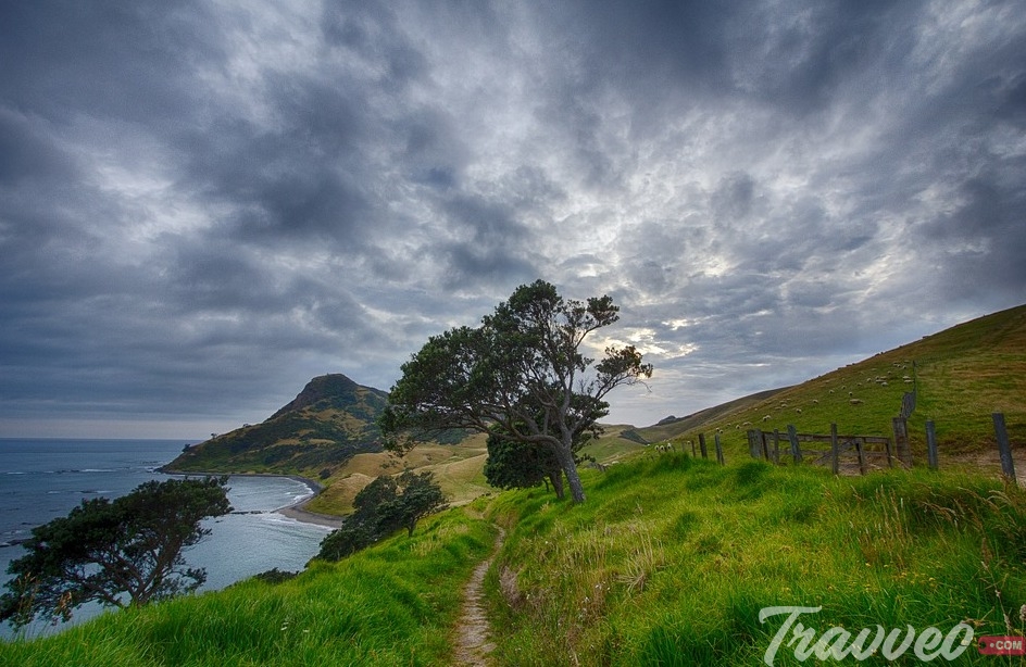 جولة سياحية مميزة الي نيوزلندا