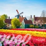 جولة سياحية مميزة الي شانس زانسي هولندا