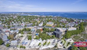 أفضل 10 فنادق في استونيا الموصي بها