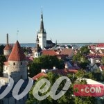 أفضل 10 فنادق في استونيا الموصي بها