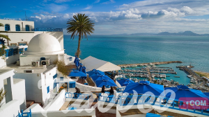 السياحة في سيدي بو سعيد تونس