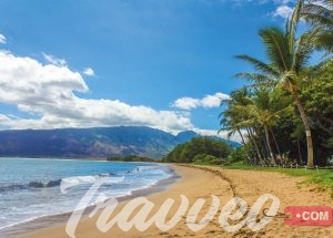 حجز فنادق هاواي