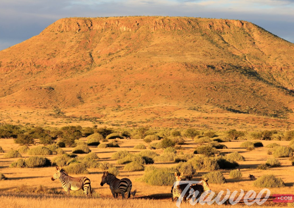 تاشيرة ناميبيا السياحية
