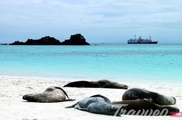 السياحة في جزر غالاباغوس التي غيرت العالم