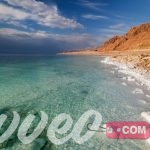 عروض فنادق البحر الميت