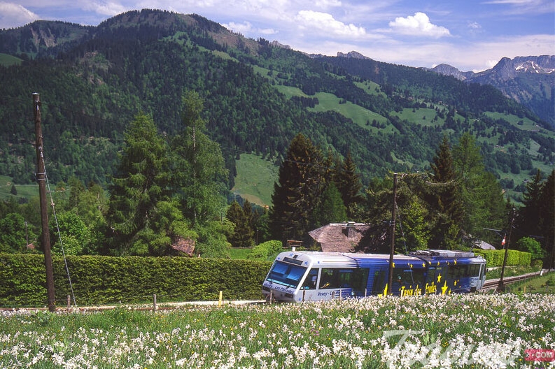 اشهر وجهات السياحة في مونترو سويسرا